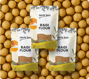 Empowering Farmers Through Jaivik Setu