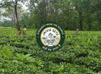 CTC Tea