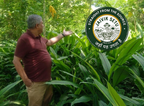 Black Turmeric Powder