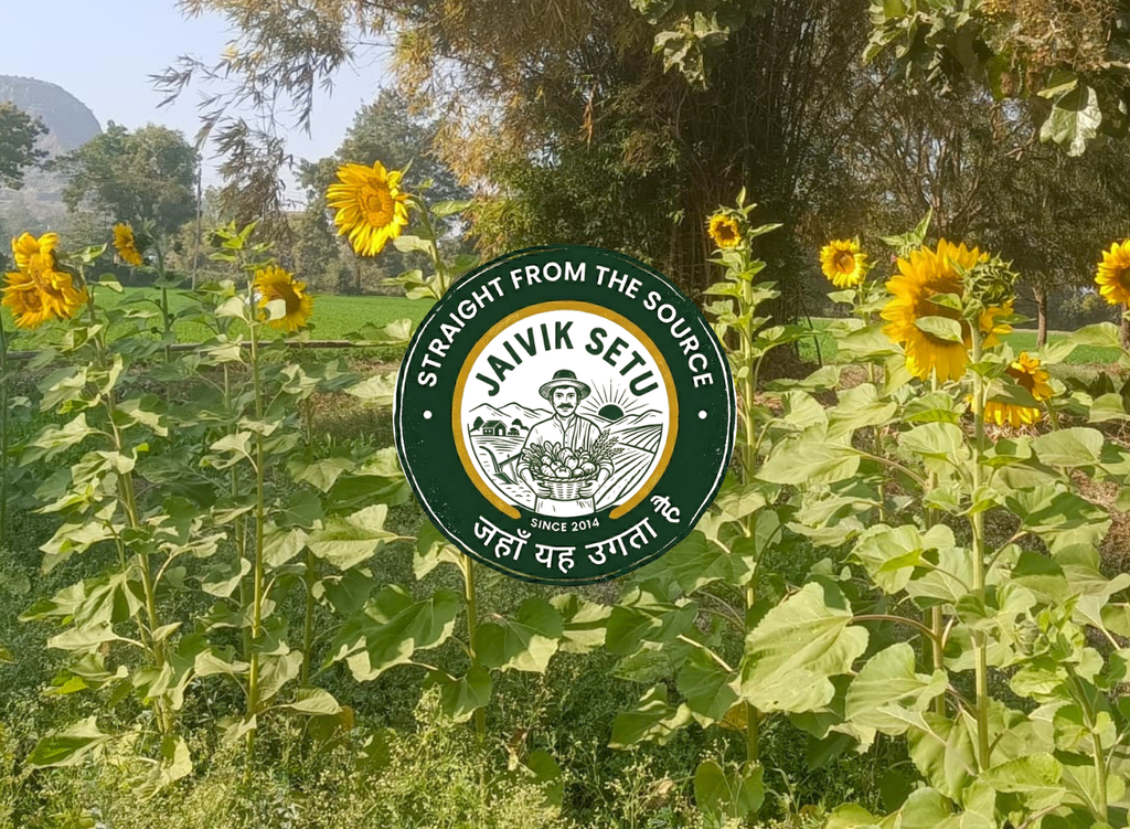 Sunflower Seeds