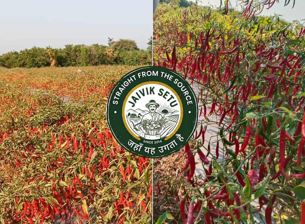 Red Chilli Powder