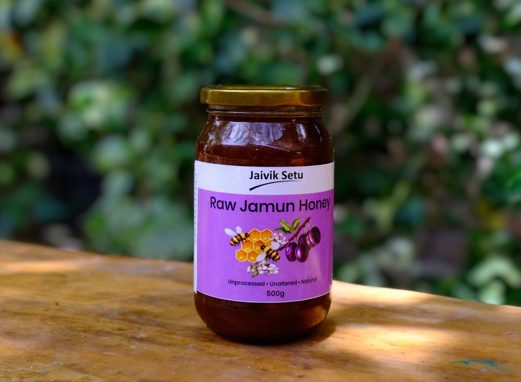 Raw Jamun Honey