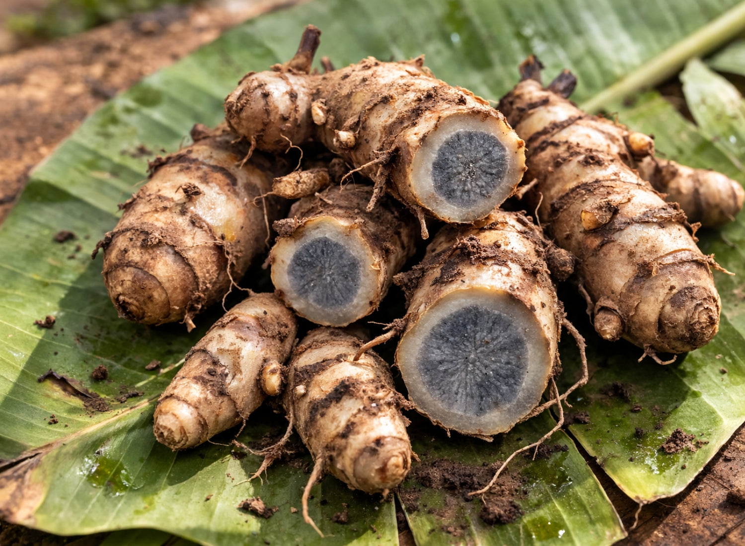 Black Turmeric (Raw)
