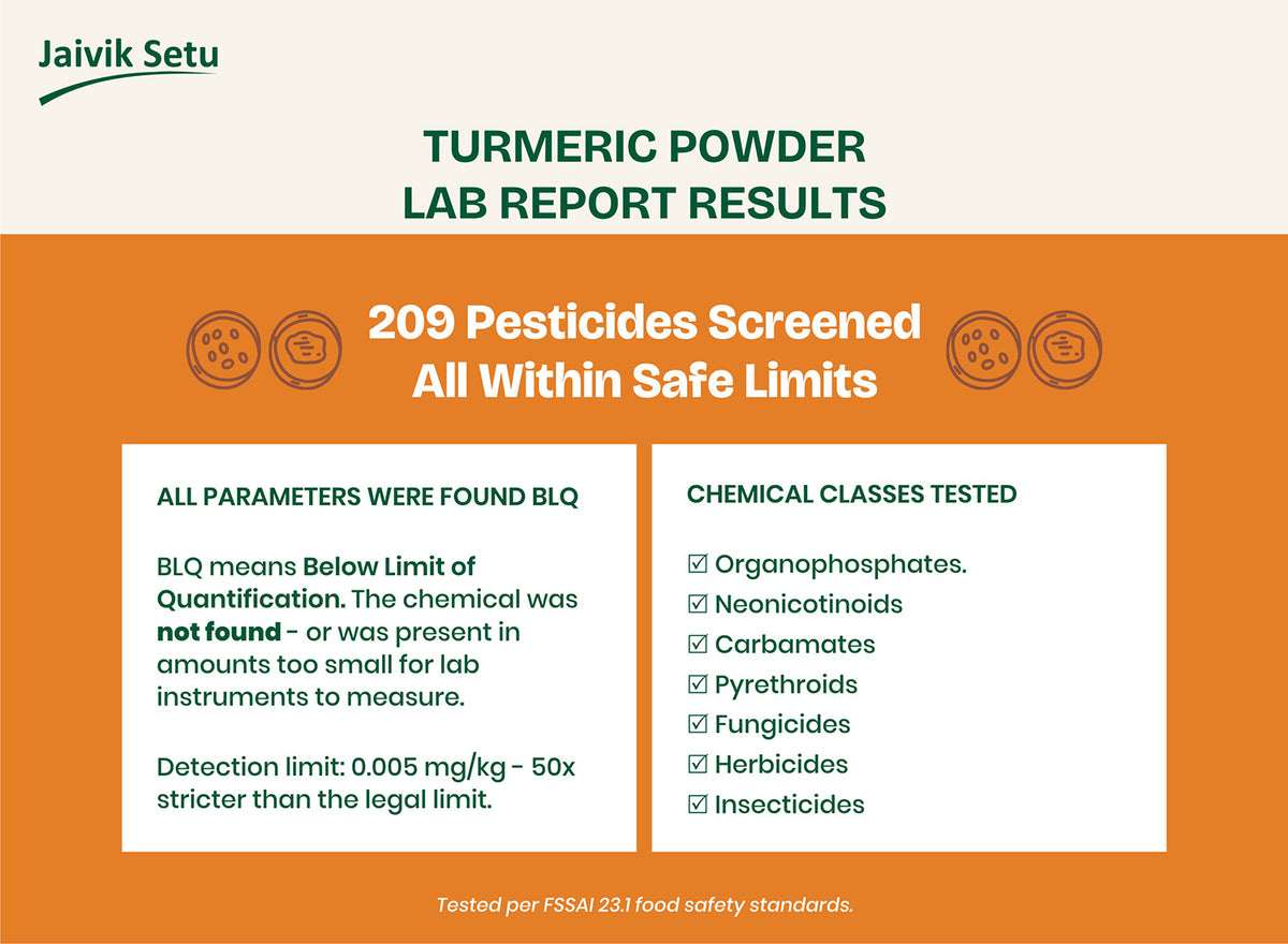Turmeric Powder